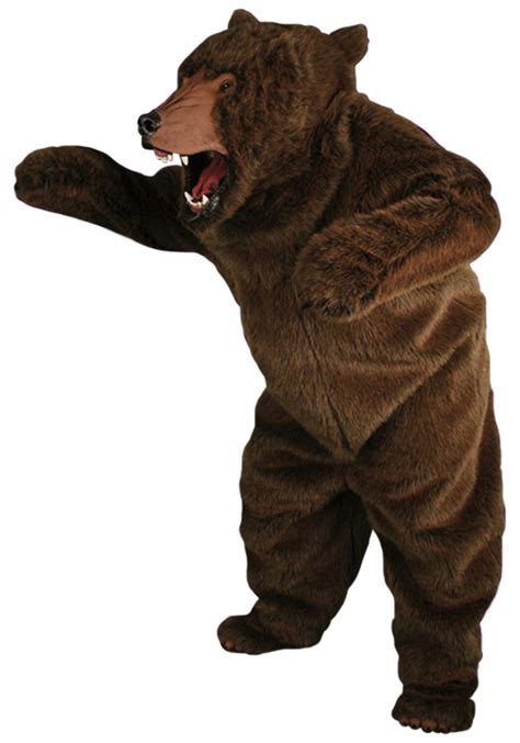 Bear Costumes for Adults & Kids